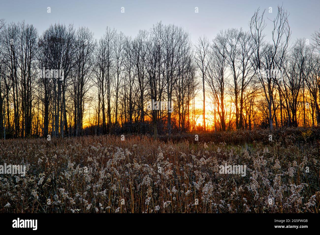 Sunset in the park with autumn leaf colour Stock Photo - Alamy