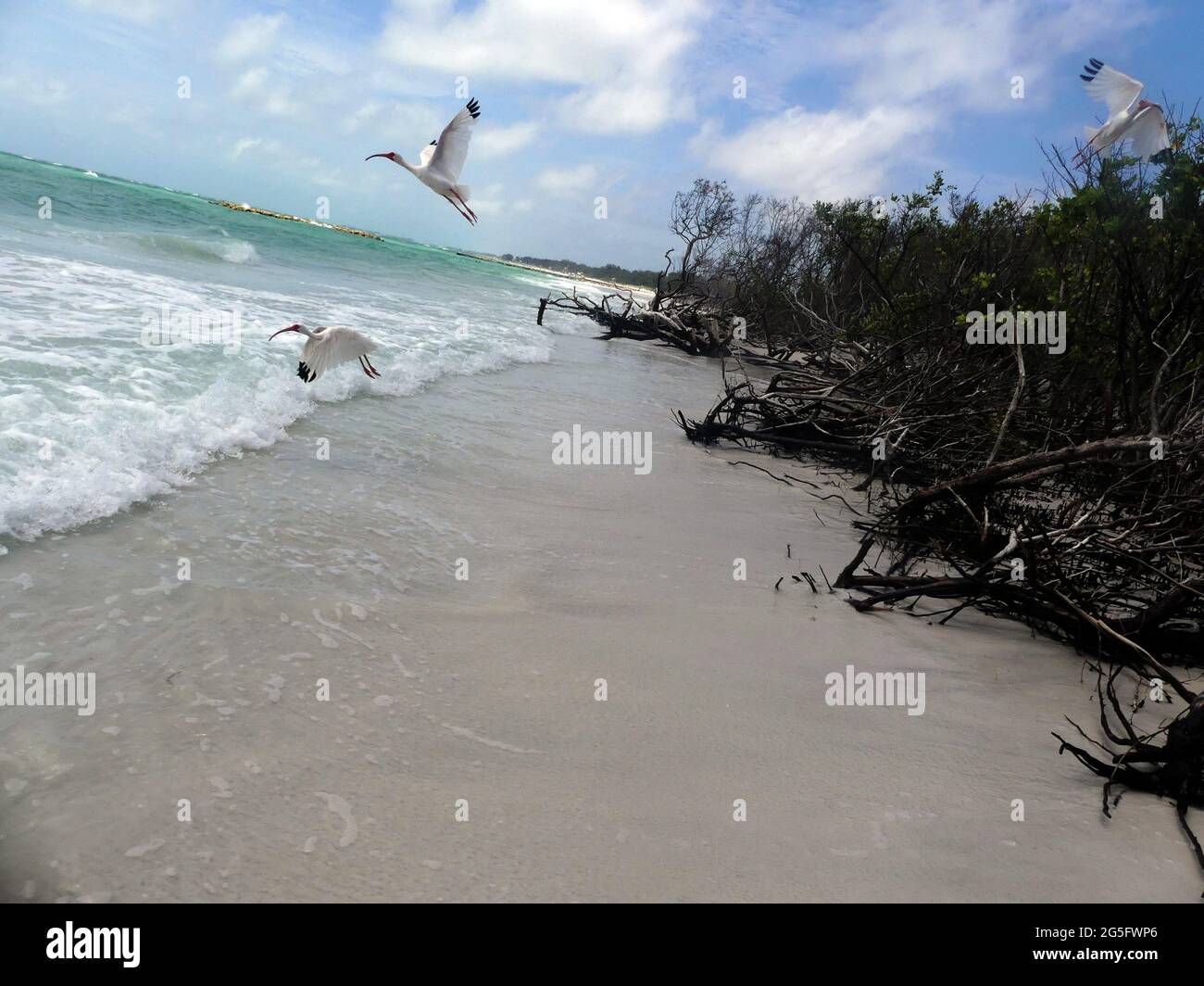 Sarasota, Florida, USA. 22nd June, 2021. Beer Can Island, Longboat Key. Credit John Marshall