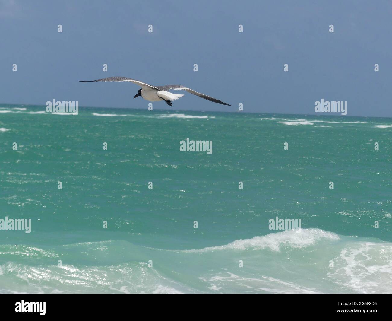 Sarasota, Florida, USA. 22nd June, 2021. Beer Can Island, Longboat Key. Credit John Marshall