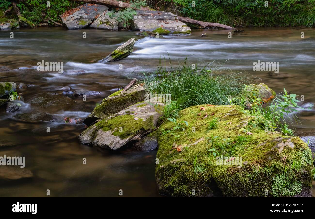 Moss covered rocks and boulders obstruct the flowing waters of a rivulet leading into the Nantahla river in summer near Gatlinburg, Tennessee, USA. Stock Photo