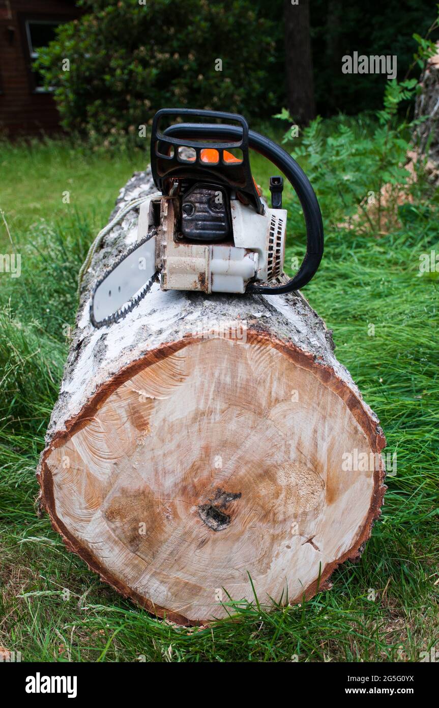 Chainsaw pants hi-res stock photography and images - Alamy