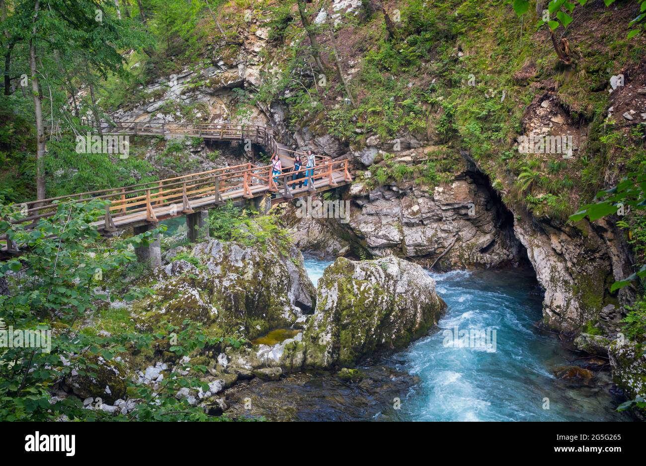 Visitors on bridge above the Radovna river cutting through the Vintgar Gorge near Bled, Upper Carniola, Slovenia.  The gorge is in the Triglav Nationa Stock Photo