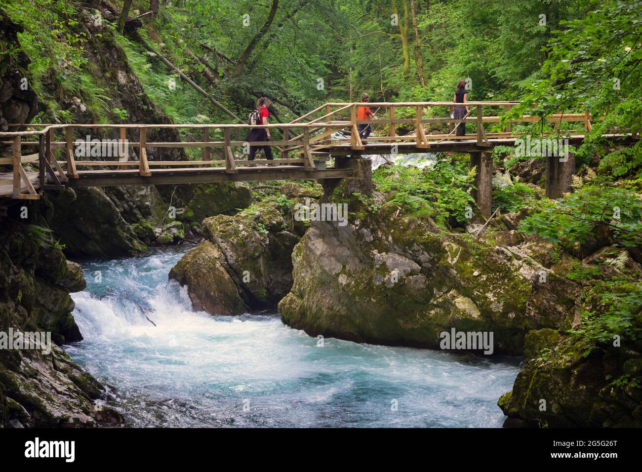 Visitors on bridge above the Radovna river cutting through the Vintgar Gorge near Bled, Upper Carniola, Slovenia.  The gorge is in the Triglav Nationa Stock Photo
