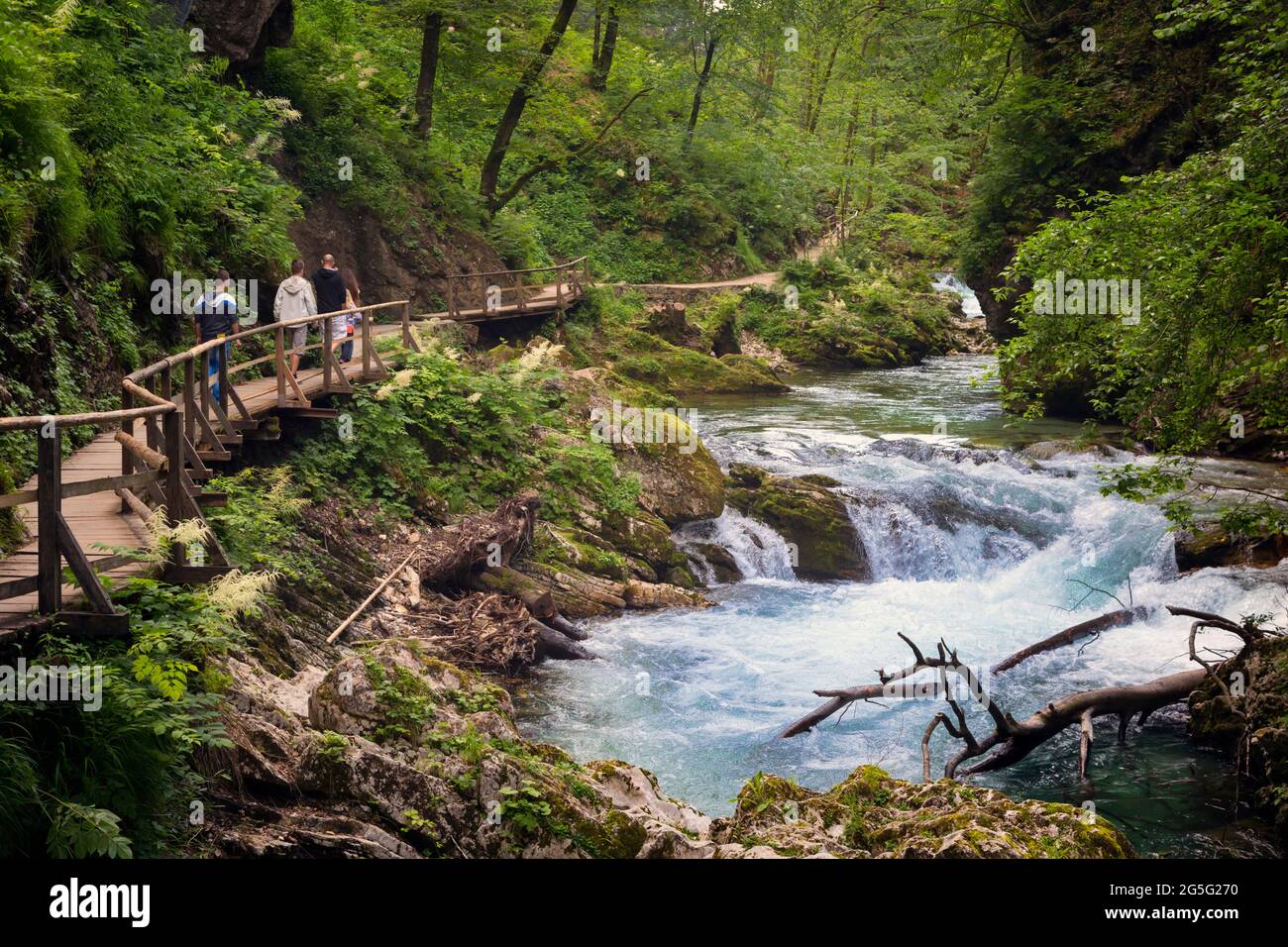 The Radovna river cutting through the Vintgar Gorge near Bled, Upper Carniola, Slovenia.  The gorge is in the Triglav National Park.  Visitors walking Stock Photo