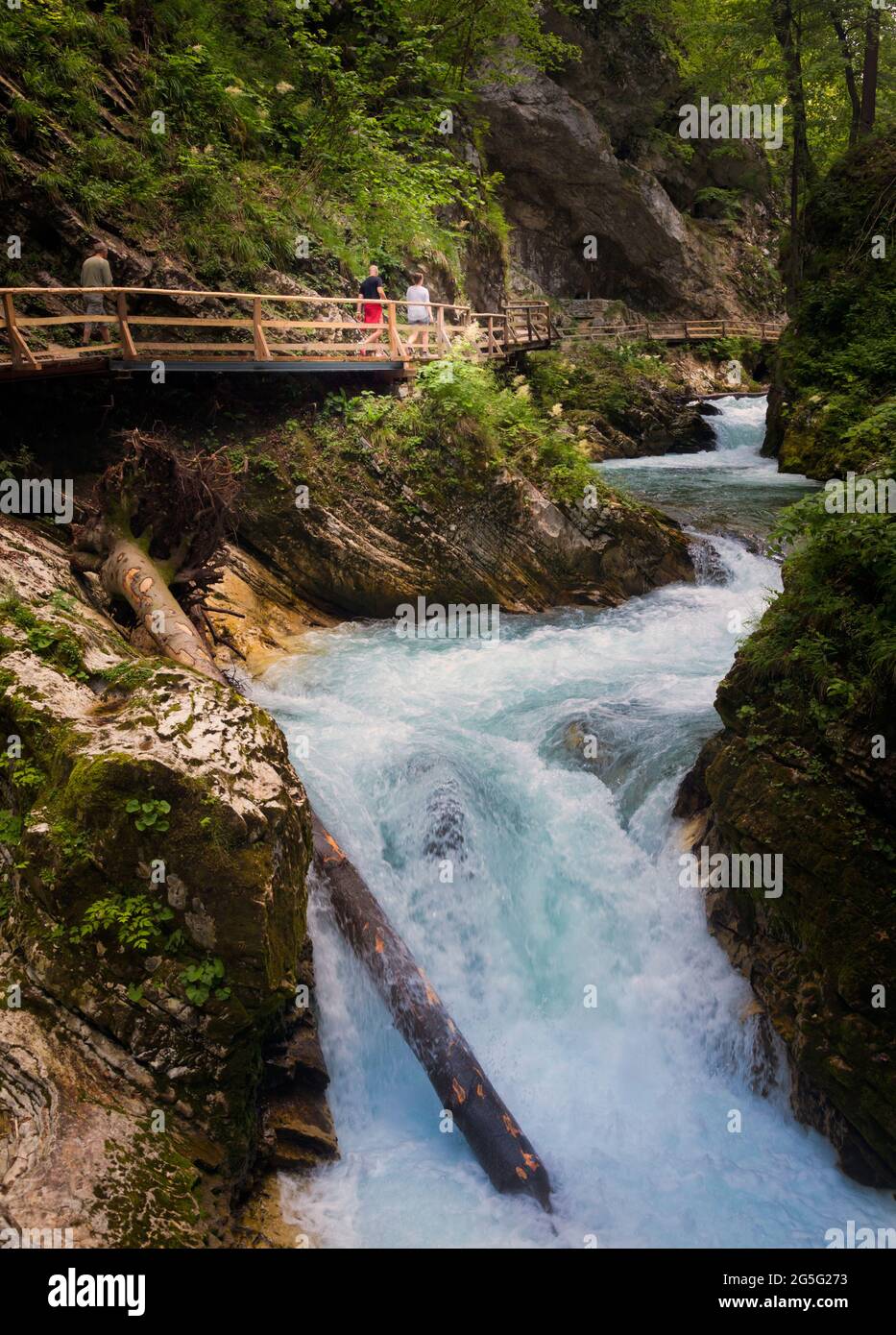 The Radovna river cutting through the Vintgar Gorge near Bled, Upper Carniola, Slovenia.  The gorge is in the Triglav National Park.  Visitors walking Stock Photo