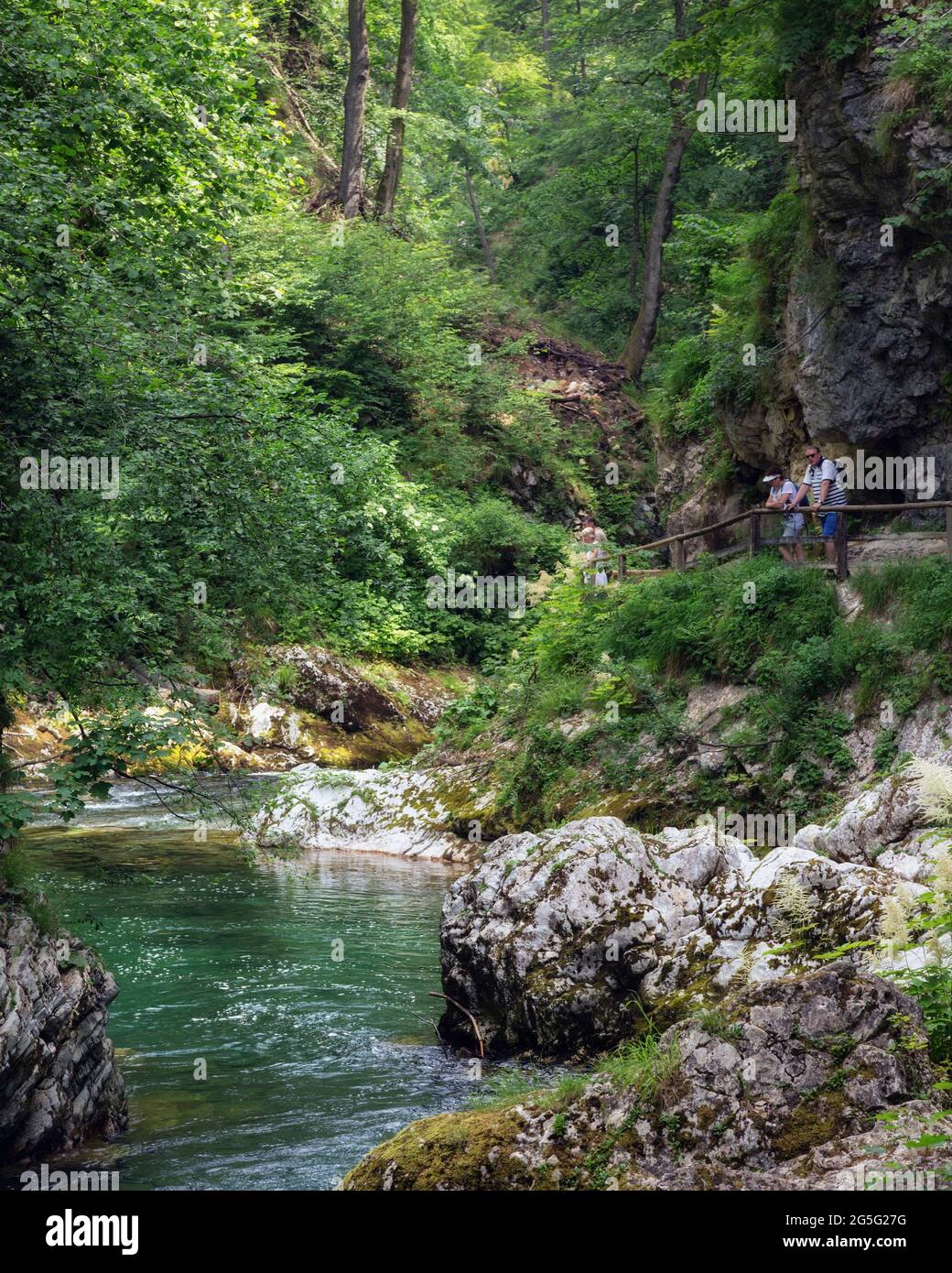 The Radovna river cutting through the Vintgar Gorge near Bled, Upper Carniola, Slovenia.  The gorge is in the Triglav National Park.  Visitors walk on Stock Photo