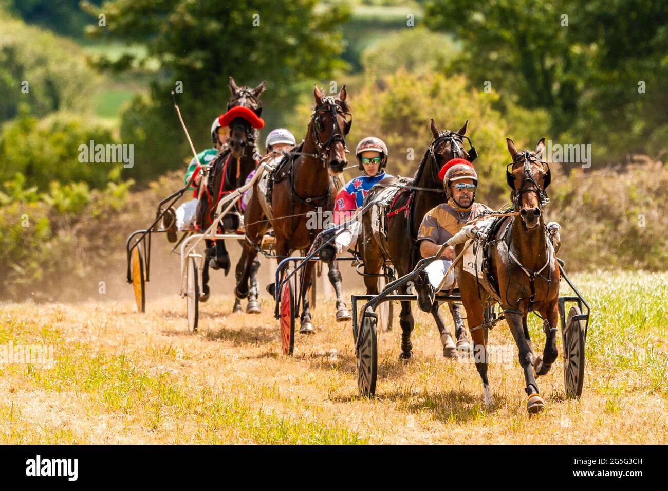 Sulky race hi-res stock photography and images - Alamy