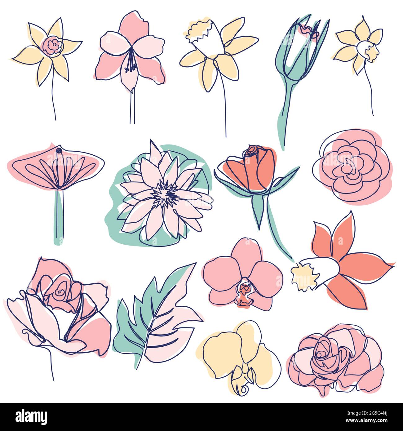 continuous line drawing of beautiful flower Calla, monstera leaf, rose, daffodil, water lily, orchid Stock Vector