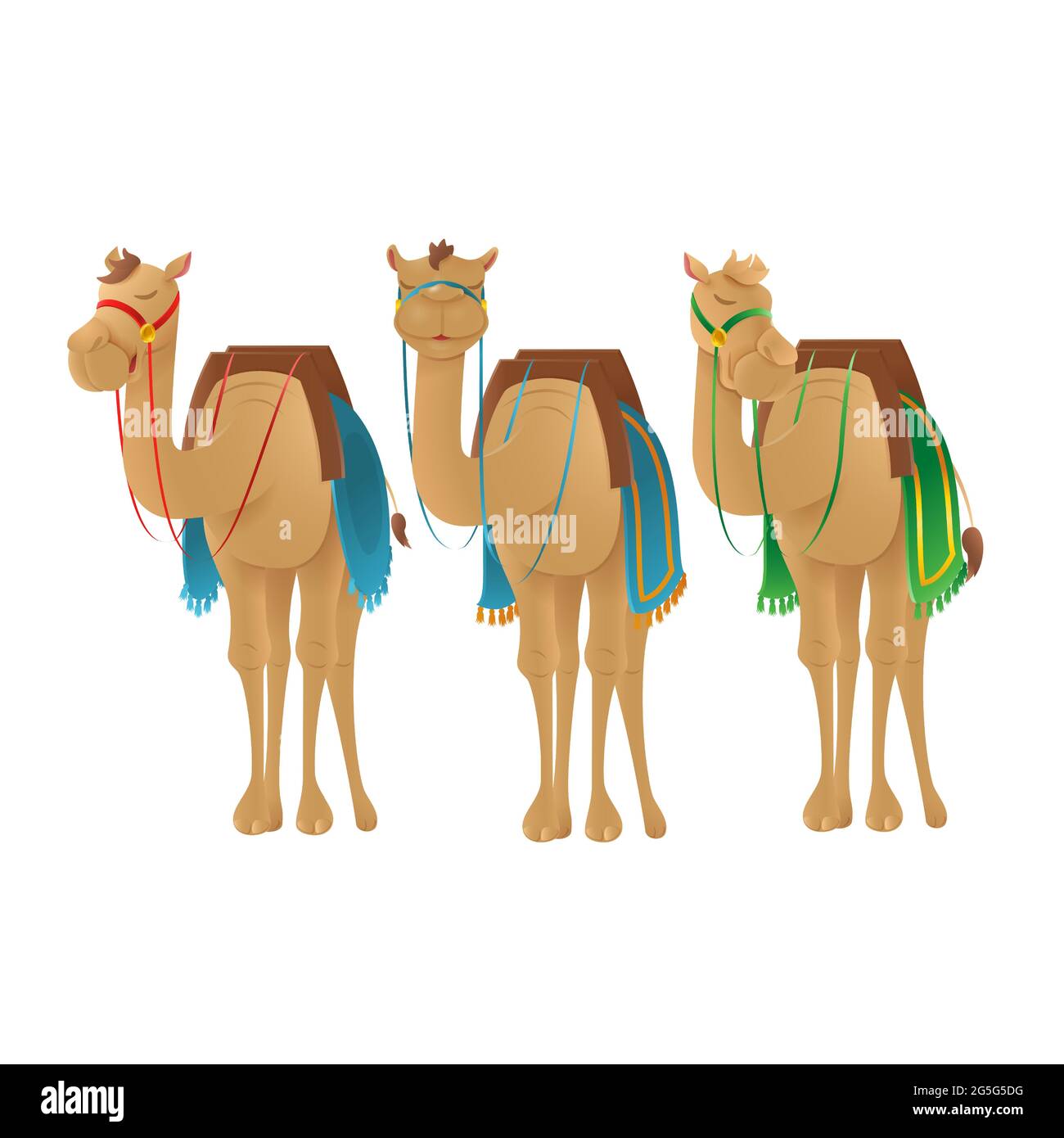 Cute camels dromedary - vector illustration isolated on transparent background Stock Vector