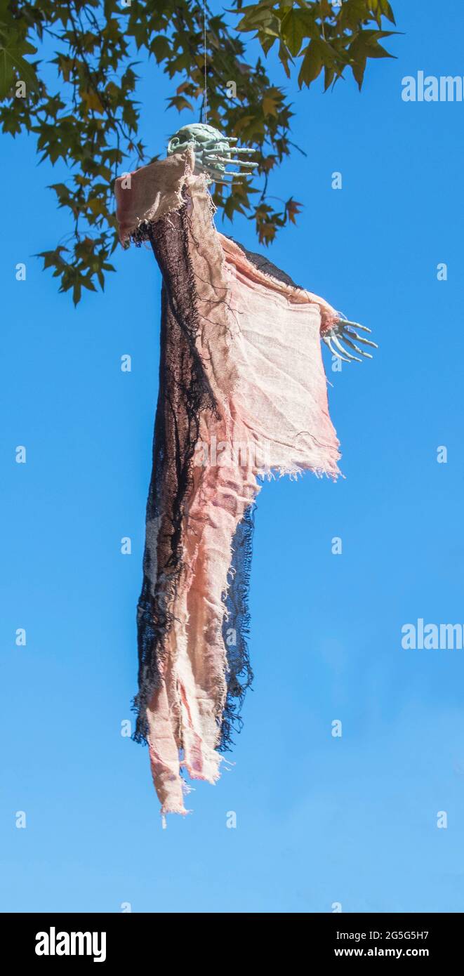 Scary skeleton - ghost in sky in front of leaves for Halloween Stock Photo