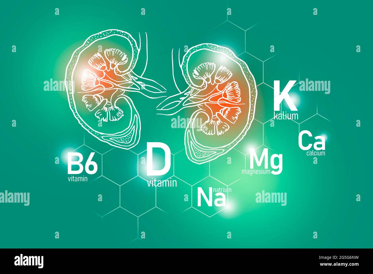 Essential nutrients for Kidneys health including Natrium, Magnesium