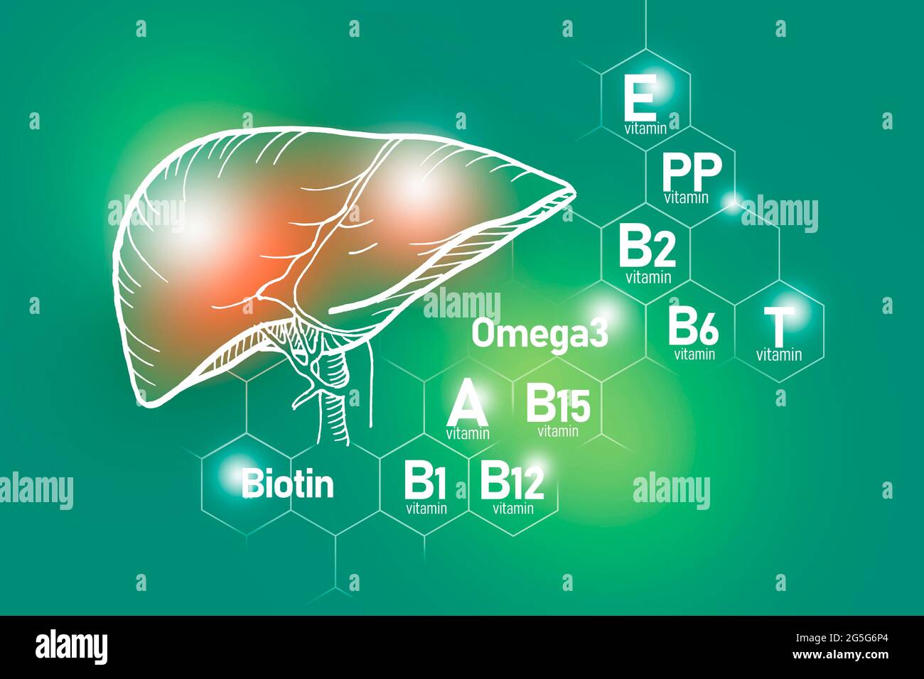 Essential nutrients for Liver health including Omega-3, Carnitine, Biotin, Vitamin PP, Vitamin B. Design set of main human organs with vitamins Stock Photo