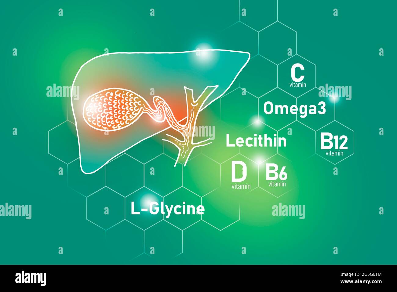 Essential nutrients for Gall Bladder health including Omega 3, L-Glycine, Omega3, Lecithin on light green background. Stock Photo