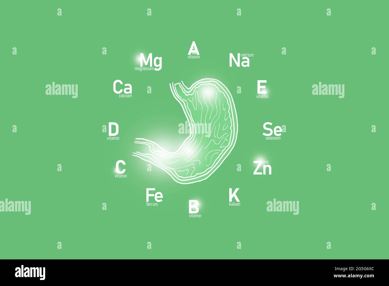 Stylized clockface with essential vitamins and microelements for human health, hand drawn Stomach,light green background. Stock Photo