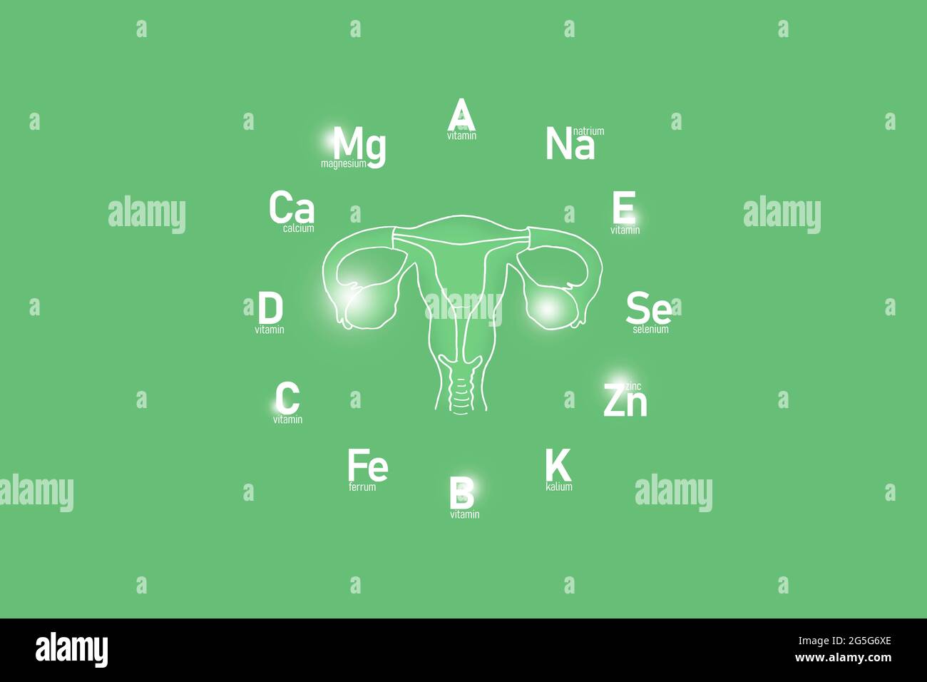 Stylized clockface with essential vitamins and microelements for human health, hand drawn Uterus, light green background. Stock Photo