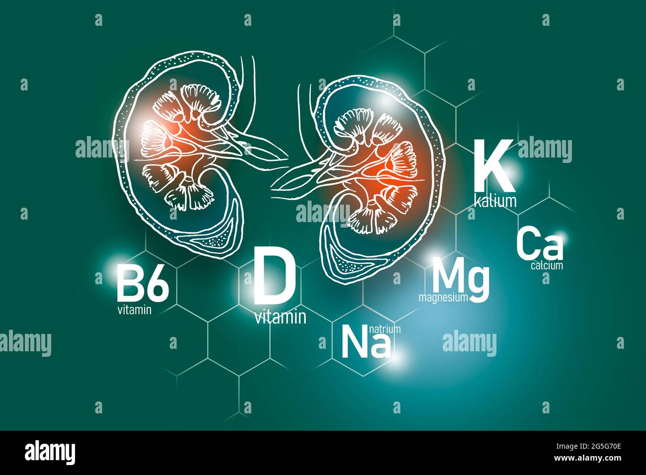 Essential nutrients for Kidneys health including Natrium, Magnesium, Vitamin B6, Calcium. Design