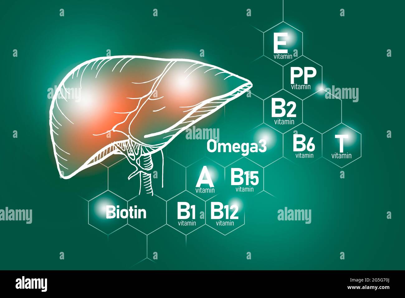 Essential nutrients for Liver health including Omega3, Carnitine
