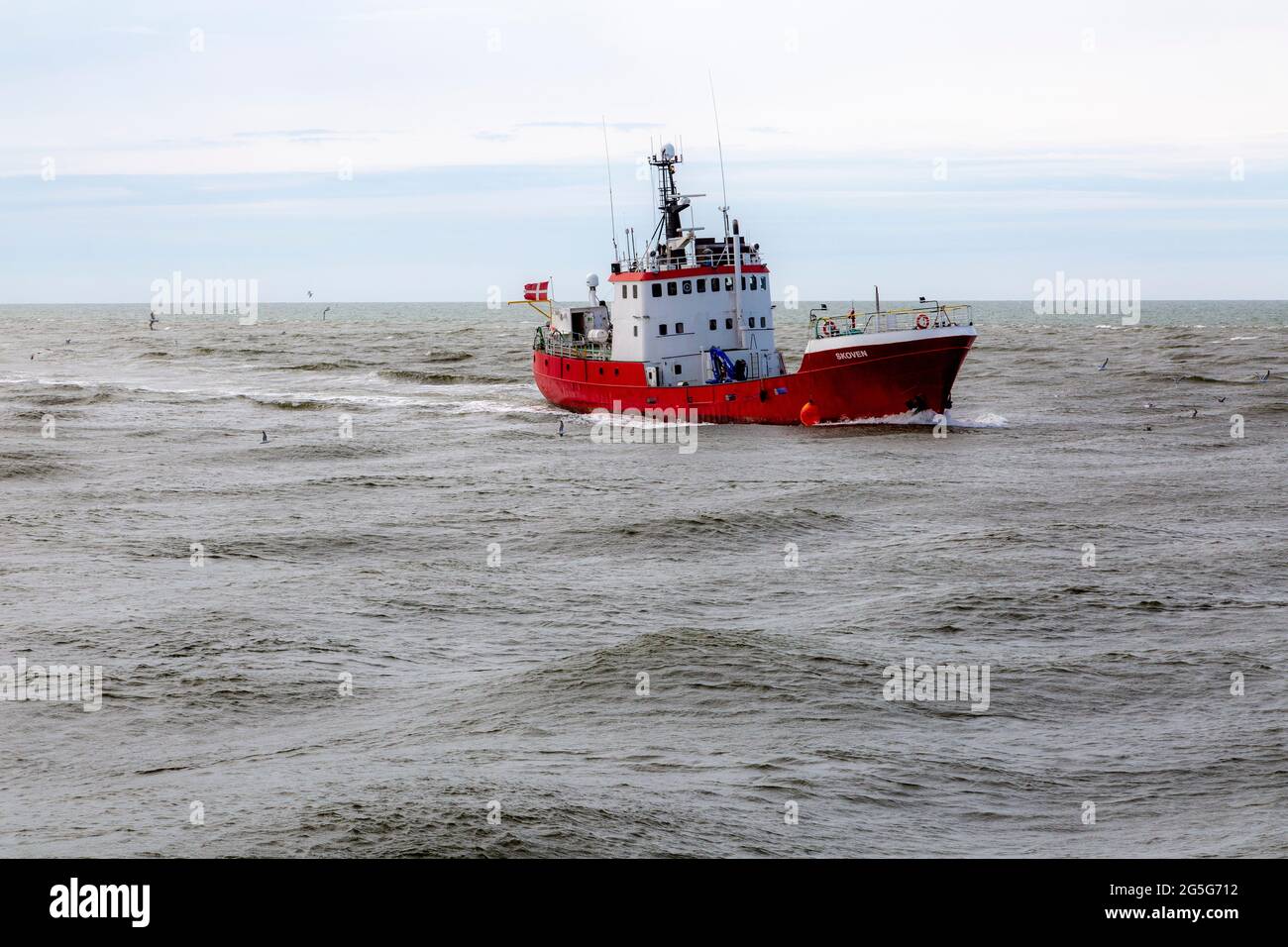 Offshore vessel 'Skoven', Hvide Sande, Denmark The ship will i.a. carry out marine surveys with underwater robots at, for example, drilling platforms, Stock Photo