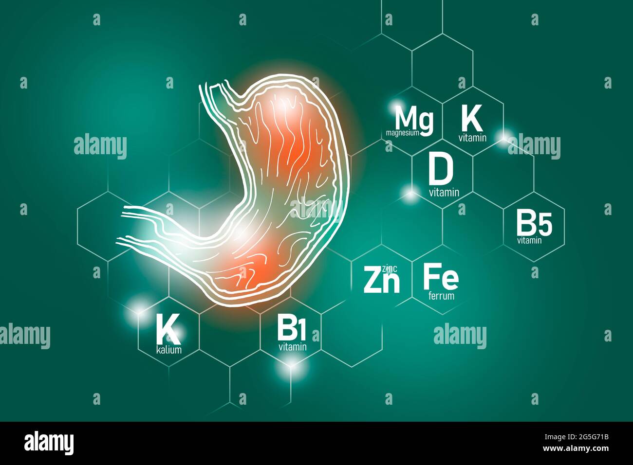 Essential nutrients for Stomach health including Zinc, Kalium, Vitamin