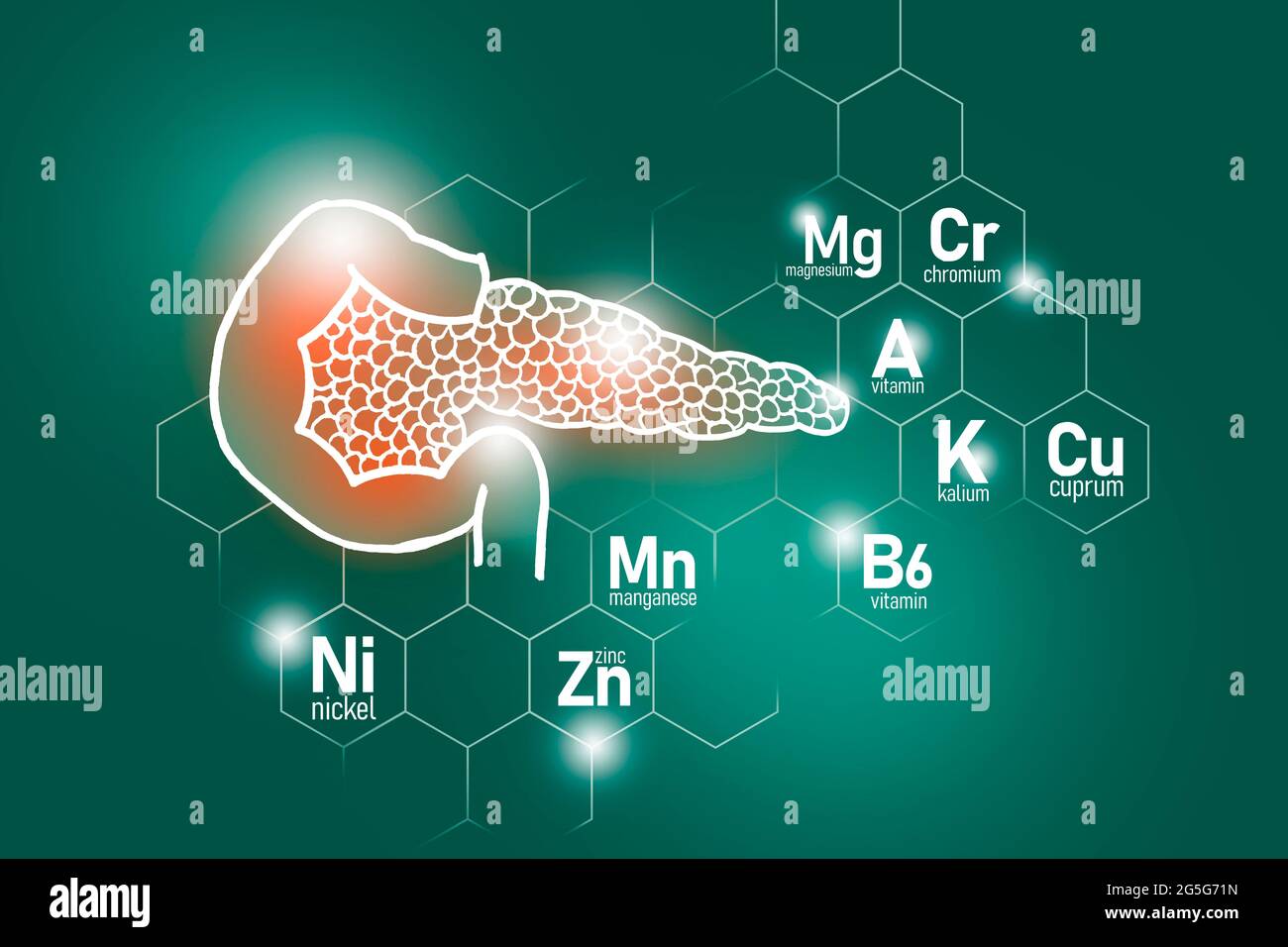 Essential nutrients for Pancreas health including Nickel, Chromium, Cuprum, Manganese. Design set of human organs on deep green background. Stock Photo