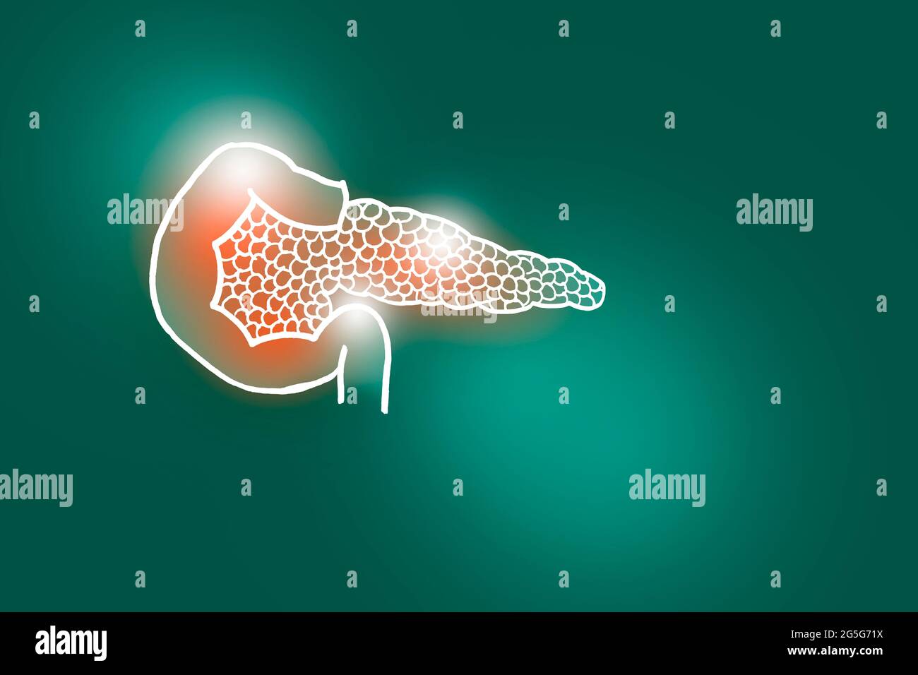 Handrawn illustration of human Pancreas on deep green background. Medical, science set with main human organs with empty copy space for text Stock Photo