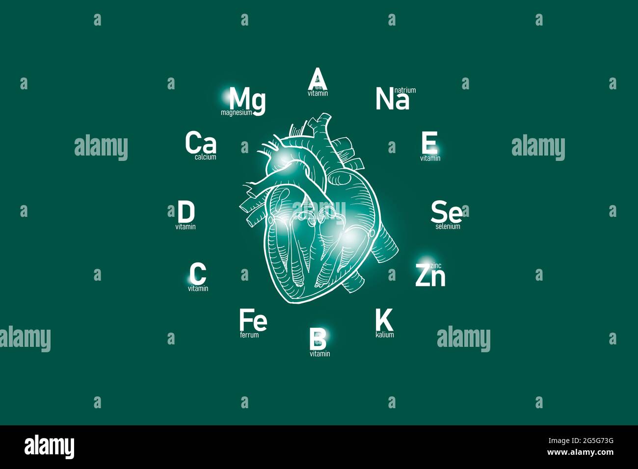 Stylized clockface with essential vitamins and microelements for human health, hand drawn Heart, deep green background. Stock Photo