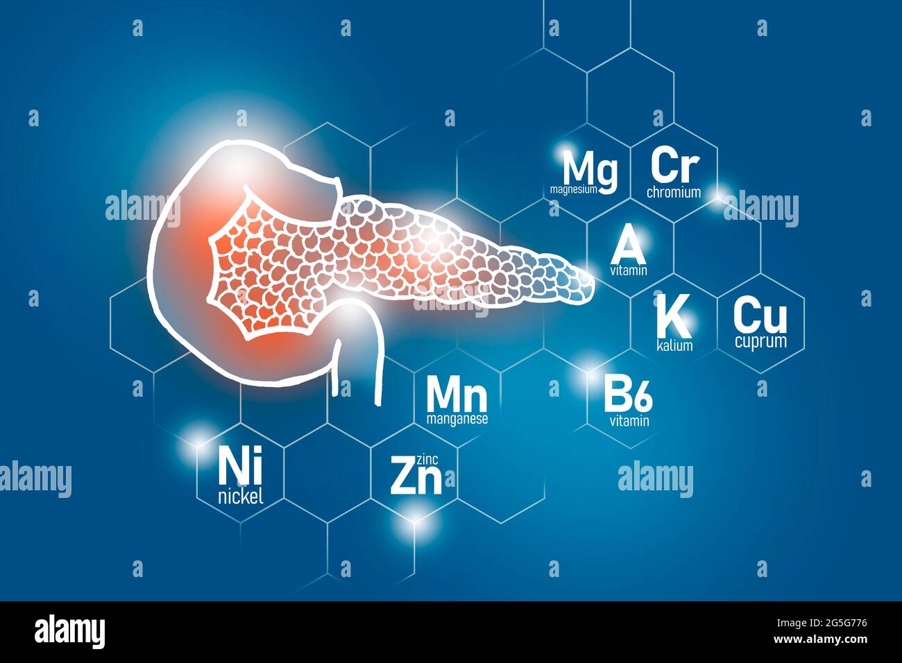 Essential nutrients for Pancreas health including Nickel, Chromium, Cuprum, Manganese. Design set of human organs on  blue background. Stock Photo