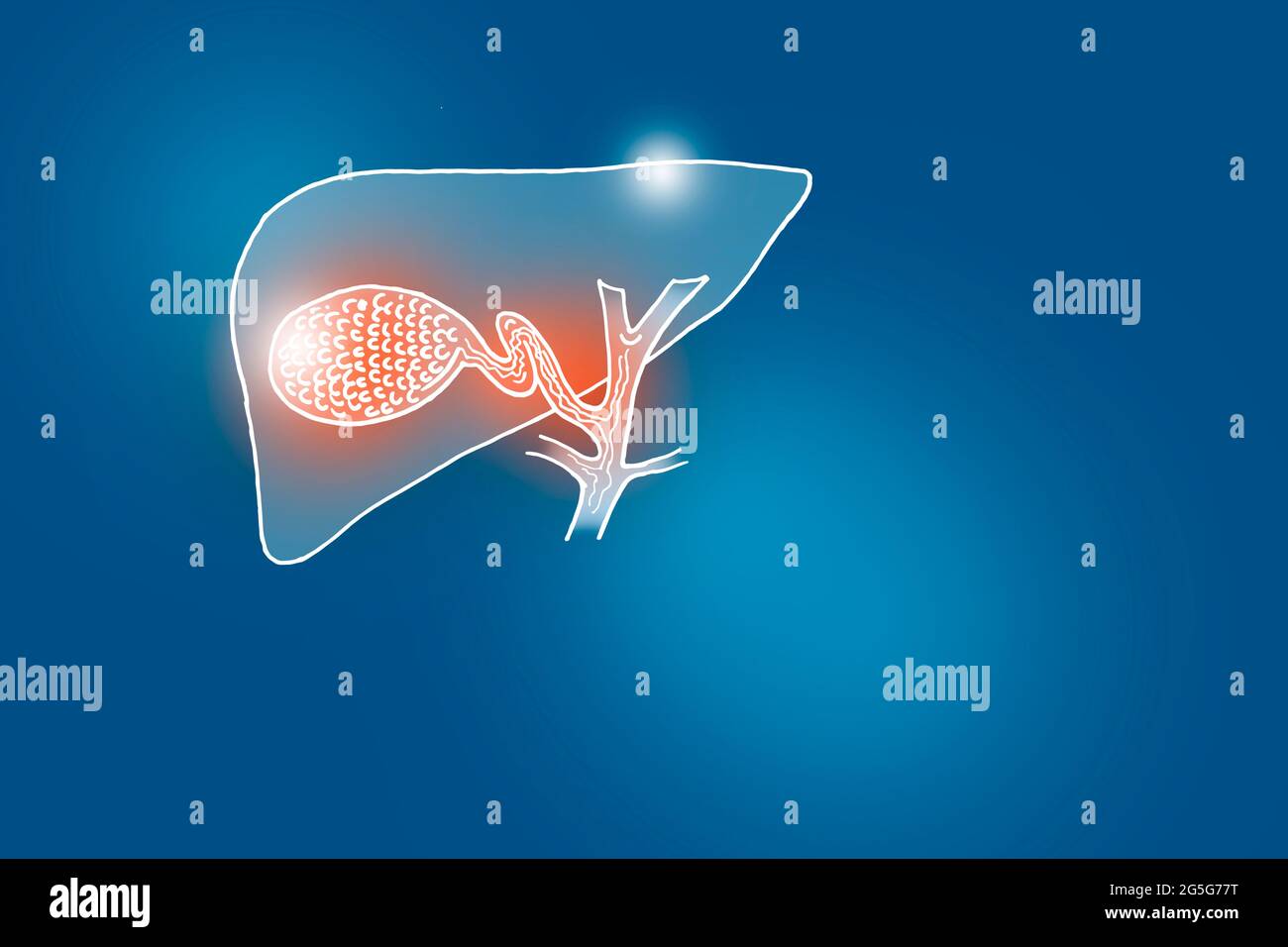 Handrawn illustration of human Gall Bladder on dark blue background. Medical, science set with main human organs with empty copy space for text Stock Photo