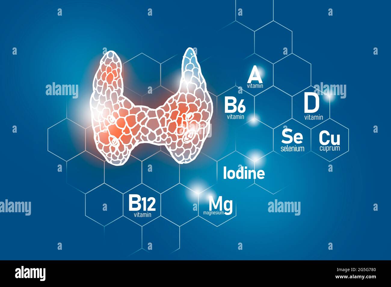 Essential nutrients for Thyroid Gland health including Iodine, Selenuim