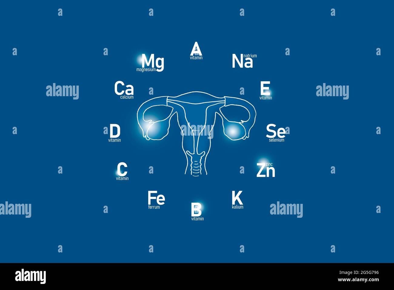 Stylized clockface with essential vitamins and microelements for human health, hand drawn Uterus, dark blue background. Stock Photo