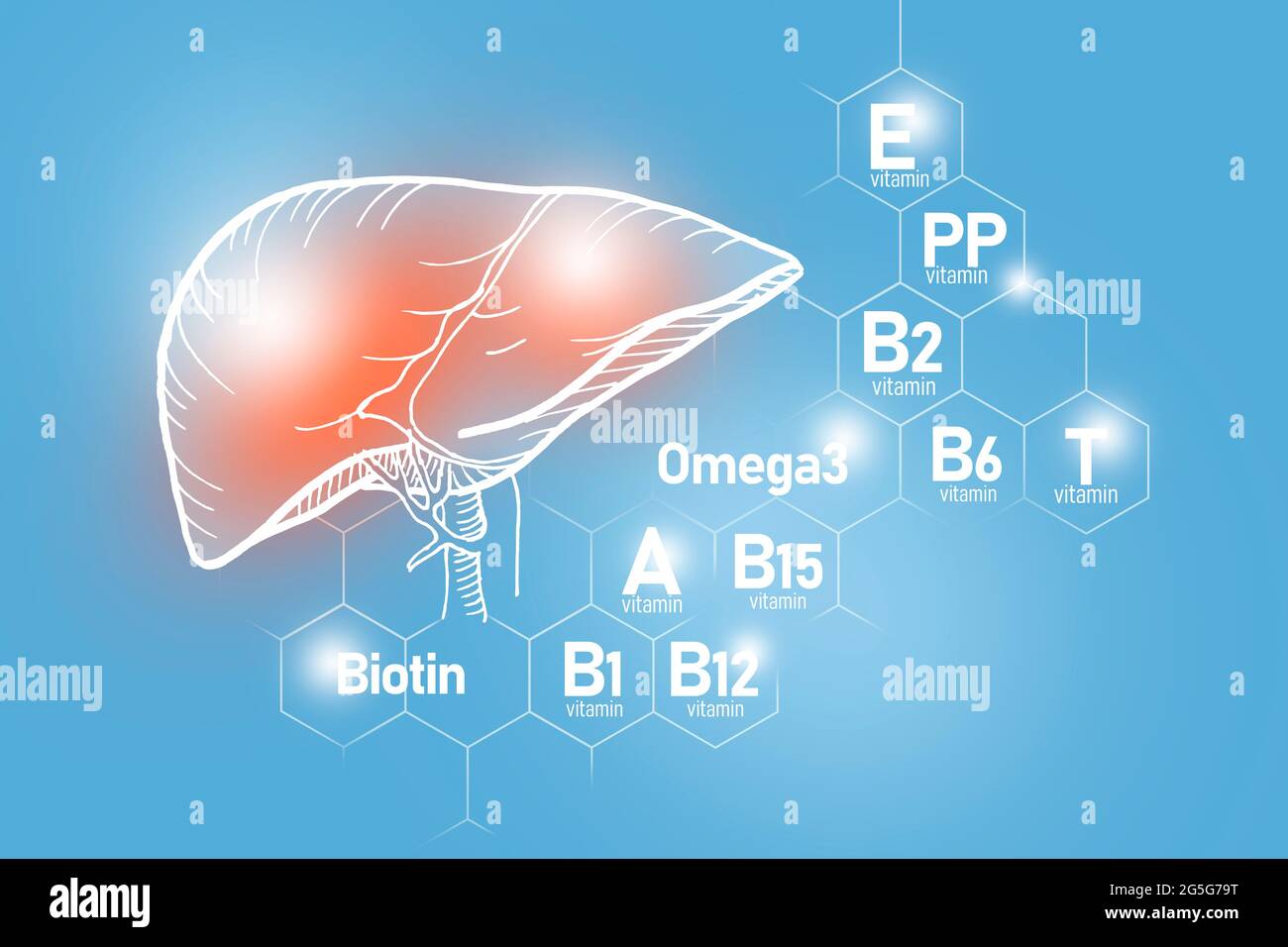 Essential nutrients for Liver health including Omega-3, Carnitine, Biotin, Vitamin PP, Vitamin B. Design set of main human organs with molecular grid Stock Photo