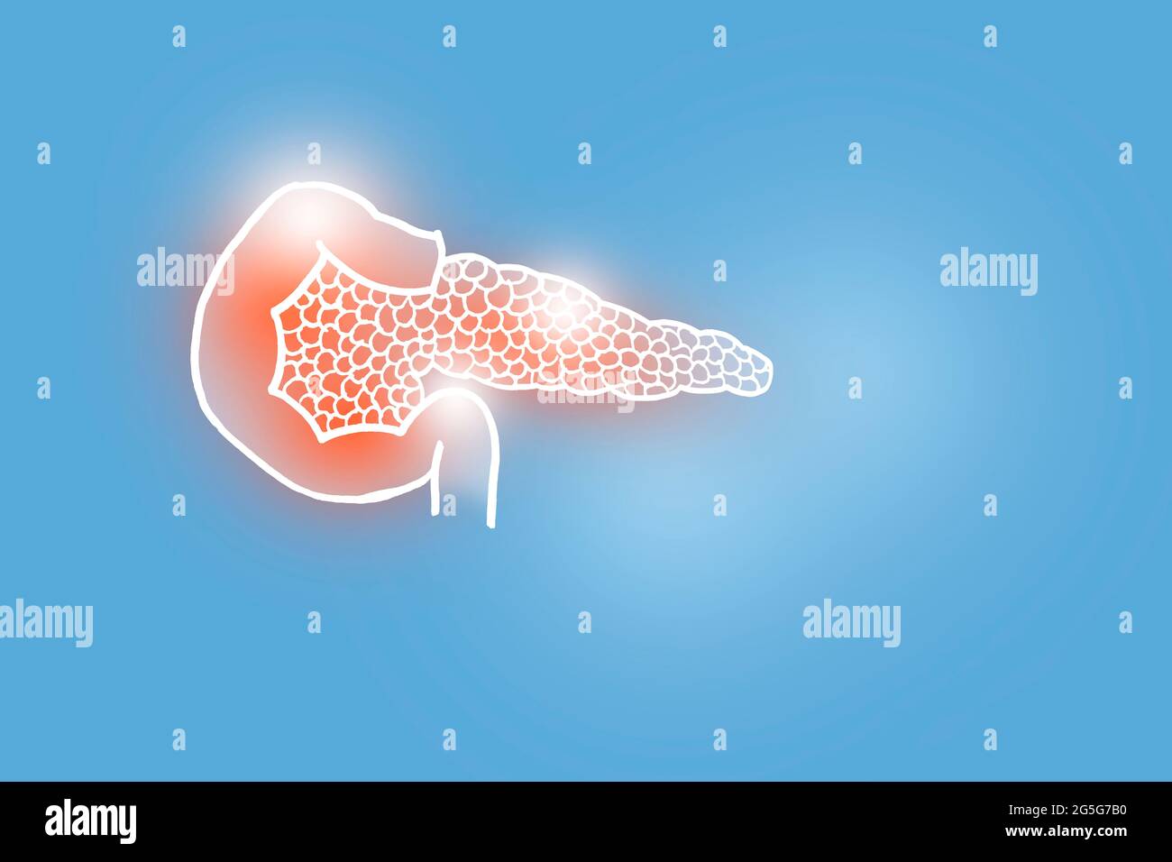 Handrawn illustration of human Pancreas on light blue background. Medical, science set with main human organs with empty copy space for text Stock Photo