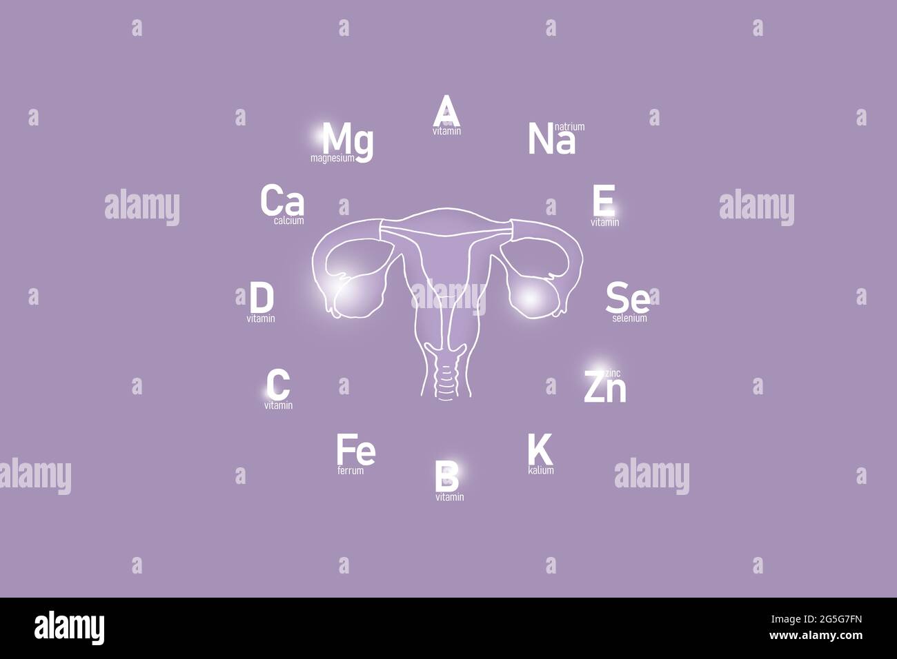 Stylized clockface with essential vitamins and microelements for human health, hand drawn Uterus, lilac background. Healthcare concept design mockup. Stock Photo
