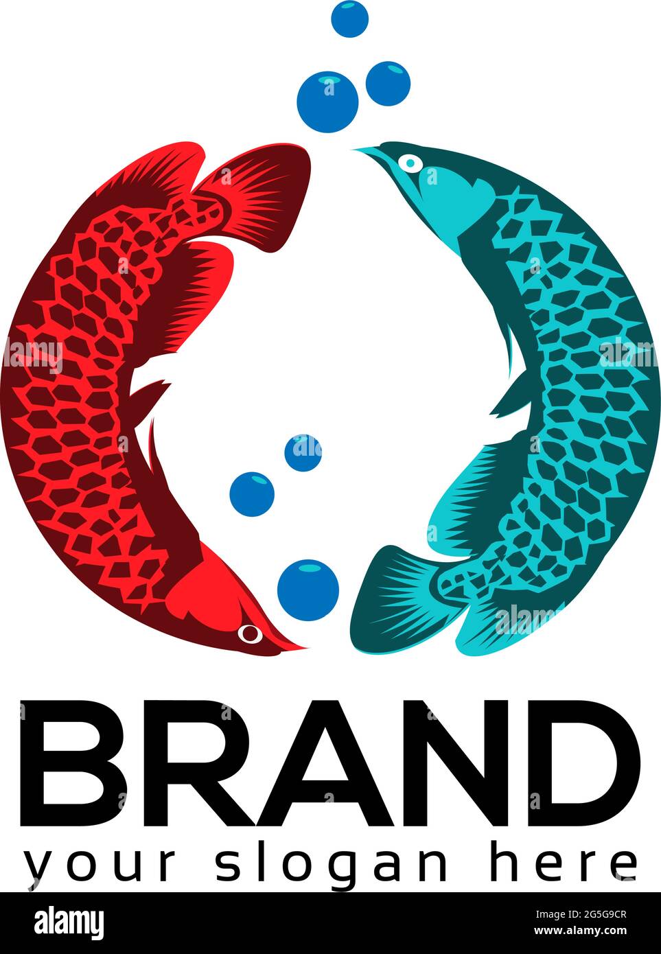 Arowana fish vector. two arowana fish. Vector Illustration on white background Stock Vector