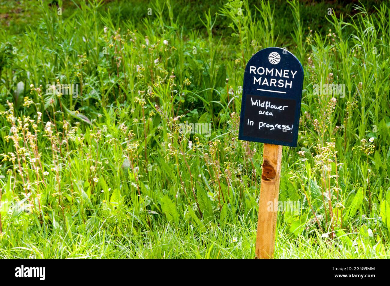 Wildflower area in progress sign in the churchyard of St George's church, Ivychurch on Romney Marsh. Stock Photo