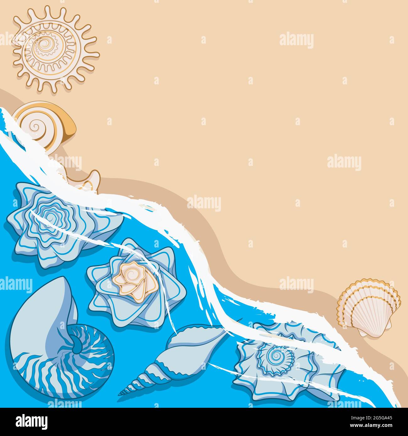 Background with sea shells and surf. Marine vector color background. Stock Vector