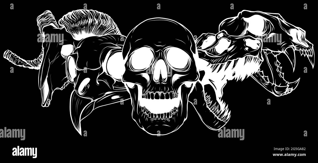 vector illustratio of animal skull art design Stock Vector Image & Art - Alamy vector illustratio of animal skull art design Stock Vector Image & Art - Alamy