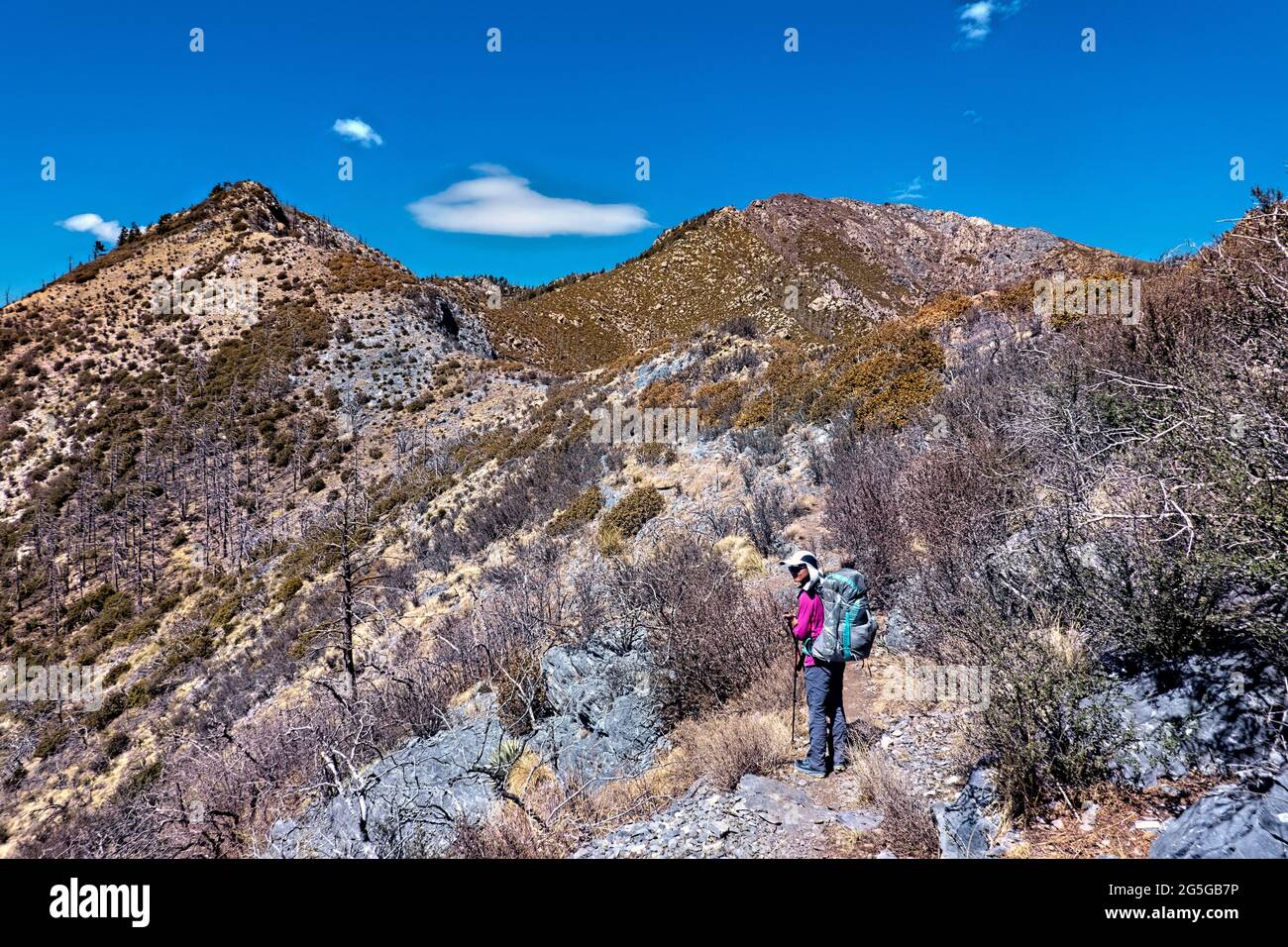 Hiking to Miller Peak, Arizona Trail, Arizona, U.S.A Stock Photo