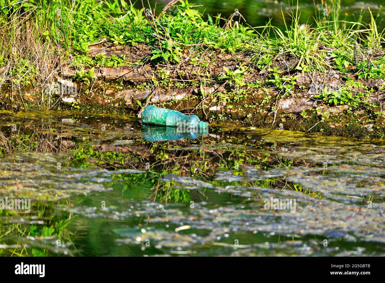 Discarded plastic bottle in a pond Stock Photo