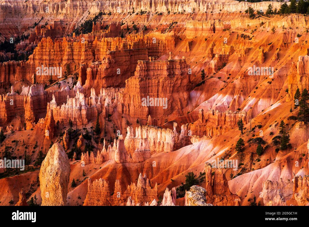 Bryce Amphitheater shortly after sunrise in Bryce Canyon National Park, Utah Stock Photo