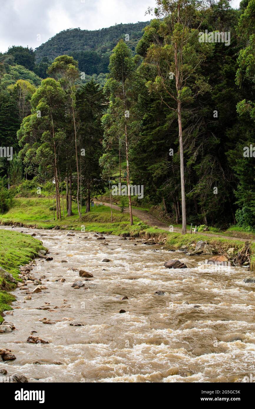 Piedras river basin, La Ceja, Antioquia Colombia Stock Photo Alamy