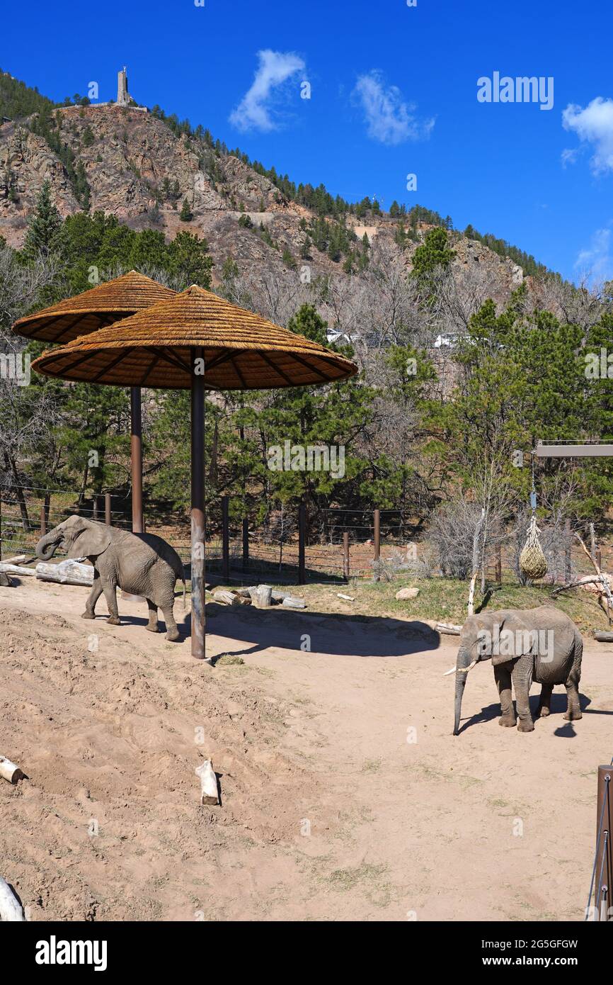 COLORADO SPRINGS, CO 9 APR 2021 View of the Cheyenne Mountain Zoo, an