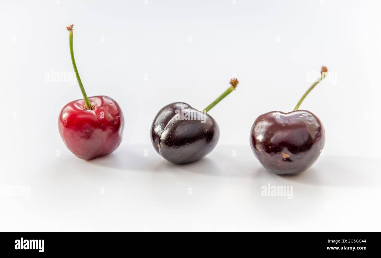 Cherries in various stages of ripeness isolated with a white background ...