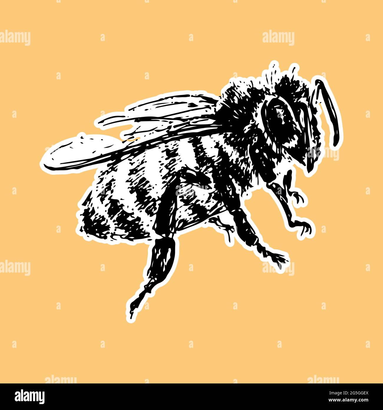 hand drawn bee sketch black honey vector Stock Vector Image & Art - Alamy