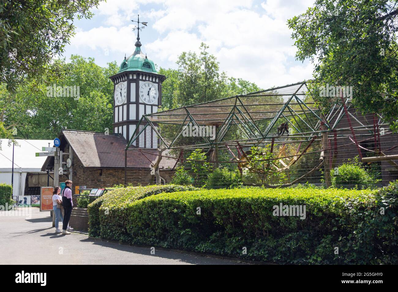 Monkey enclosure at ZSL London Zoo, Regent's Park, City of Westminster, Greater London, England