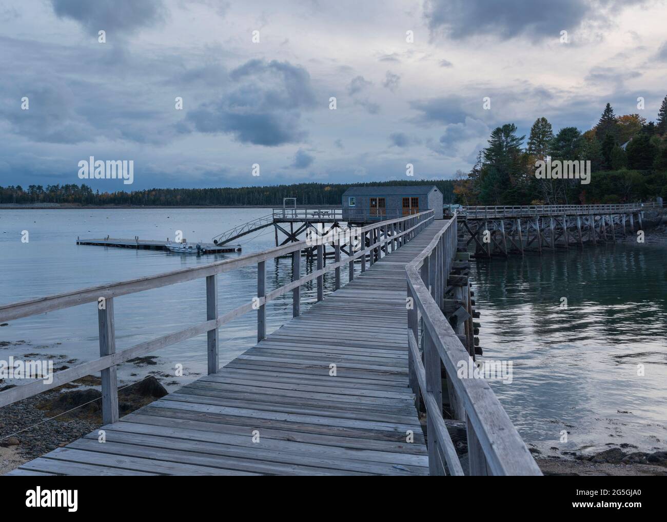 In Northeast Harbor, Maine, a Raised Wooden Boardwalk at Gilpatrick Cove Inlet Leads to a Shack and the Floating Dock Halfway Across. Stock Photo