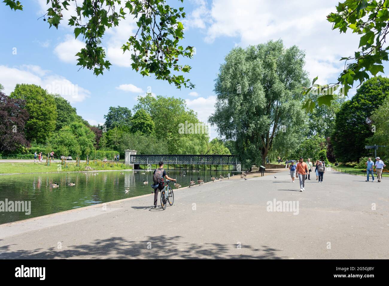 Regent's Park Lake, Regent's Park, City of Westminster, Greater London, England, United Kingdom Stock Photo