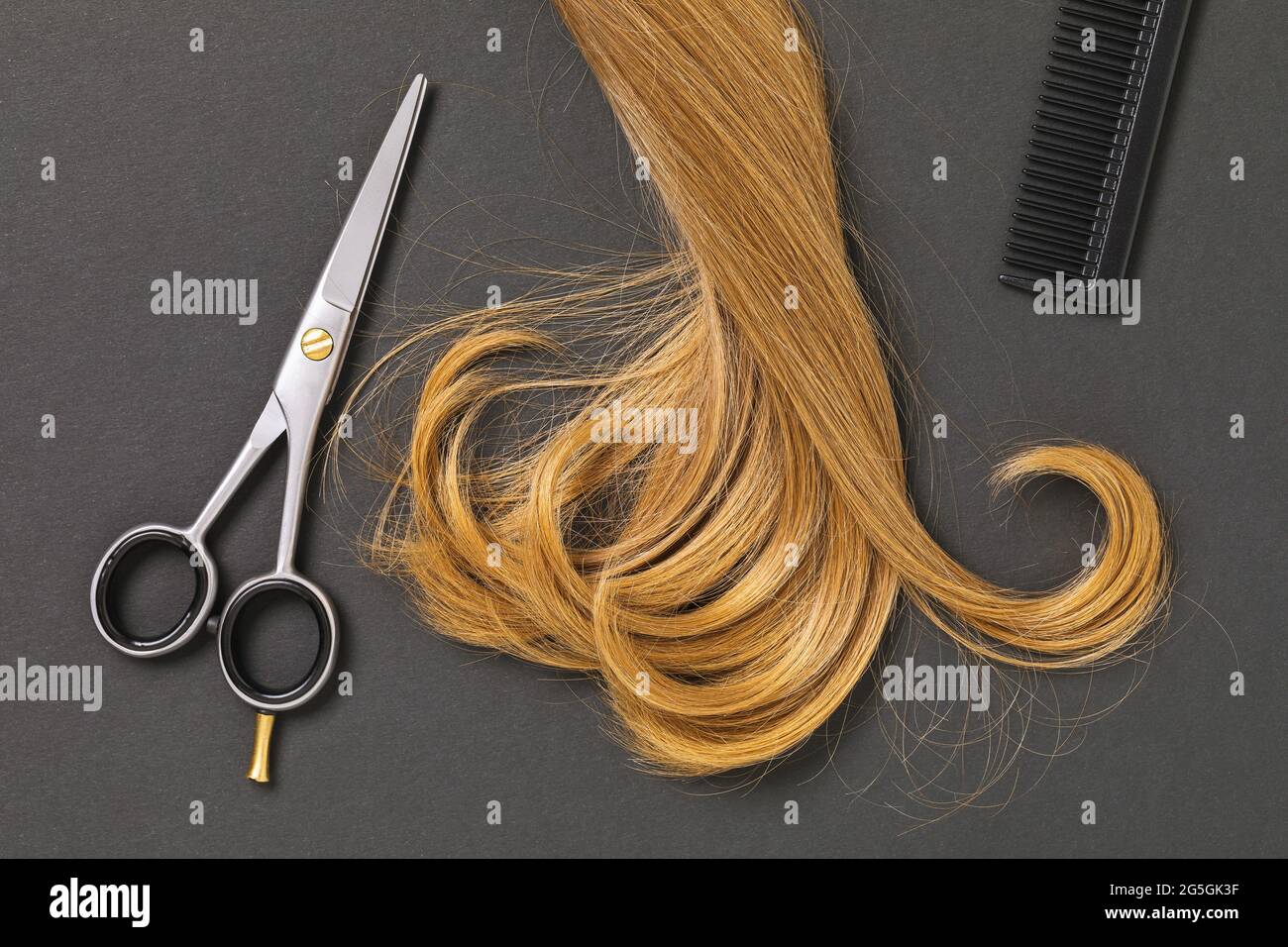 A lock of blond curly female hair, scissors and a comb on a dark ...