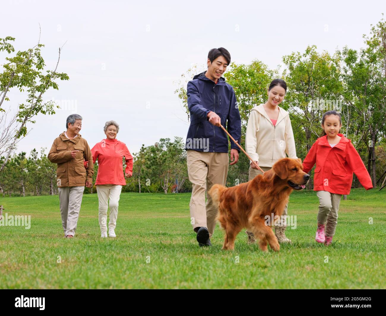 Happy family of five and pet dog walking in the park high quality photo Stock Photo