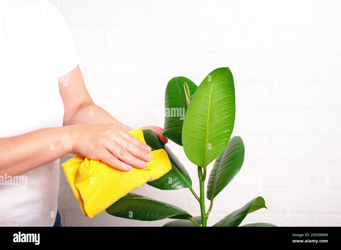 Dust off hires stock photography and images Alamy